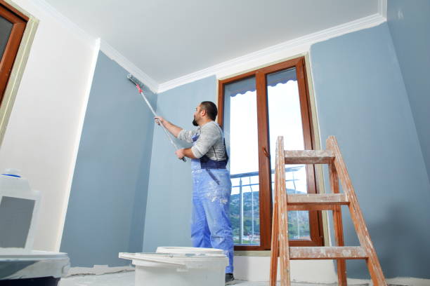 Best Industrial Mold Remediation  in Zumbrota, MN