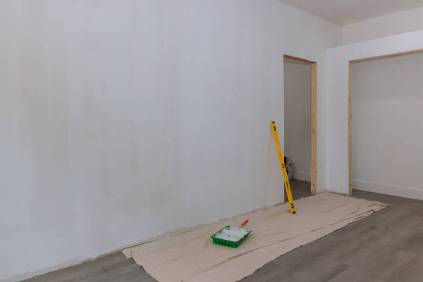 Trusted Zumbrota, MN Mold Removal Experts