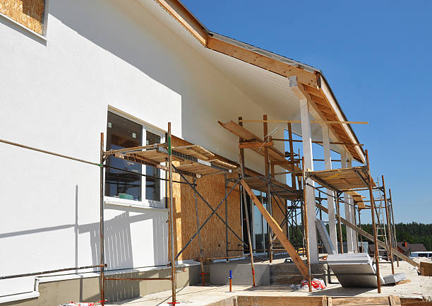 Best Commercial Mold Inspection  in Zumbrota, MN
