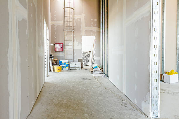 Best Basement Mold Removal  in Zumbrota, MN