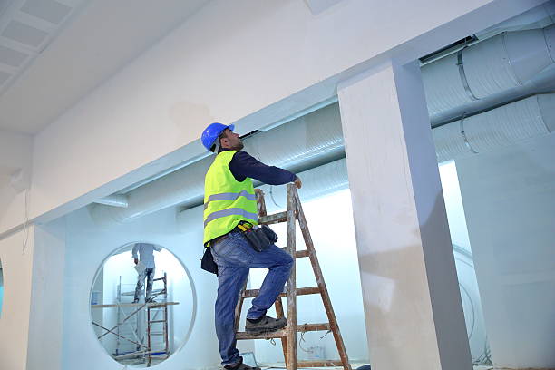Best Post-Construction Mold Inspection  in Zumbrota, MN