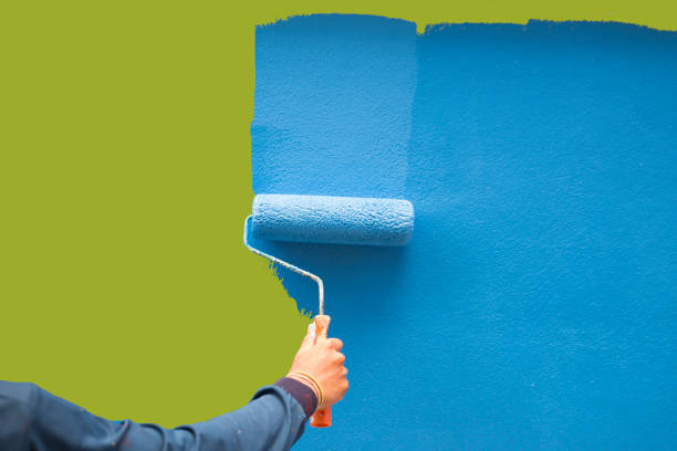 Best Mold Damage Restoration  in Zumbrota, MN