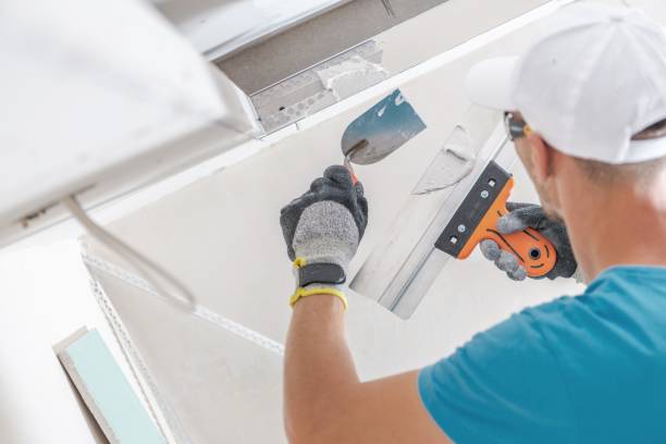  Zumbrota, MN Mold Removal Pros